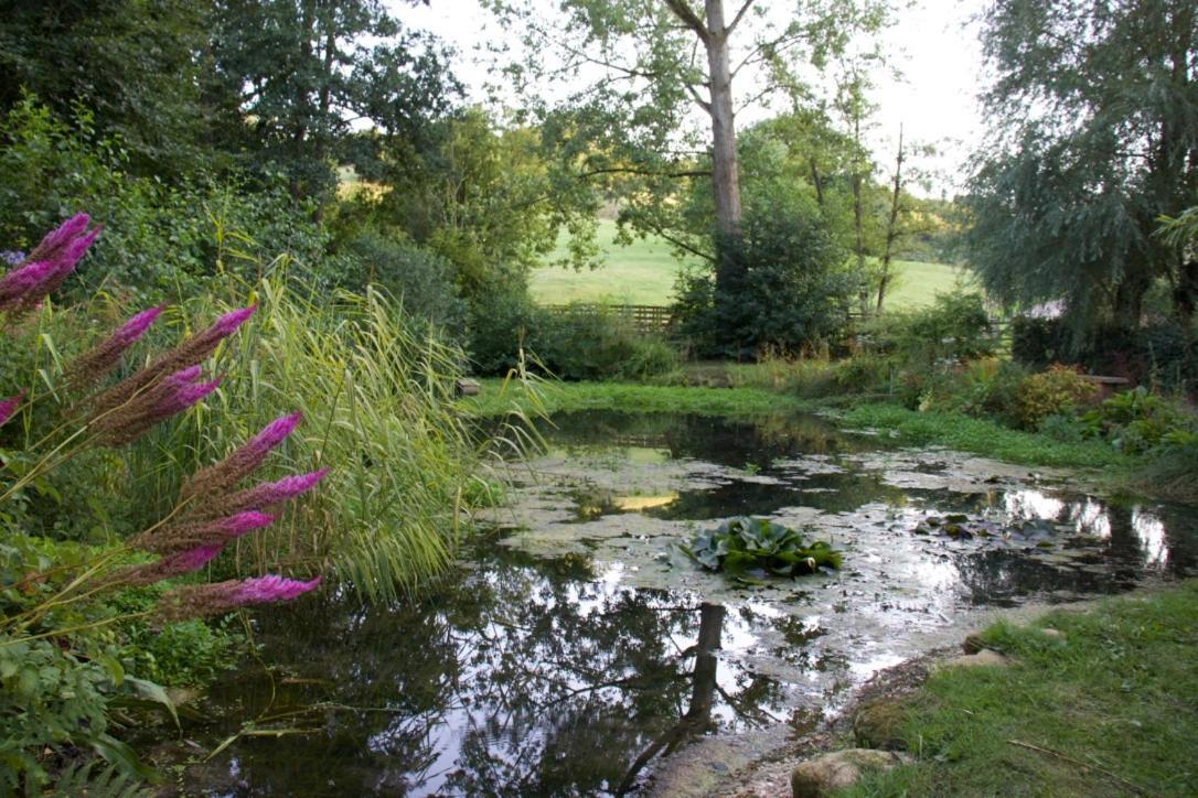 Bagnell Farm Cottage Chiselborough Buitenkant foto